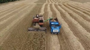 Уборка Урожая Комбайн в поле