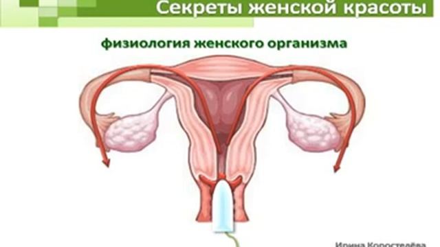 Секреты женской красоты Прокладки Анион смотреть онлайн