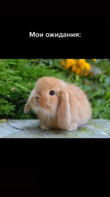 новый друг #автоэлектрик #диагностика #ваз