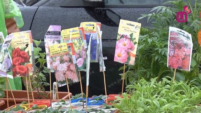 Ярмарка для садоводов смотреть онлайн