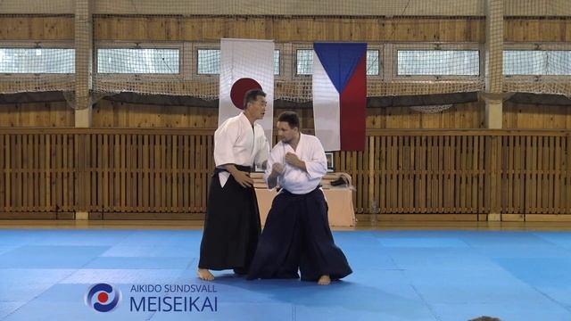 14 Aikido Philosophy Katatedori And Tsuki Shishiya Sensei, Horice 2016