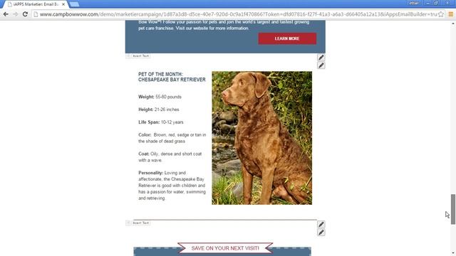 Email Newsletter Webinar 12 1 15 смотреть онлайн