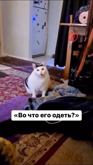 Найди ребёнка #юмор #мем #приколы смотреть онлайн