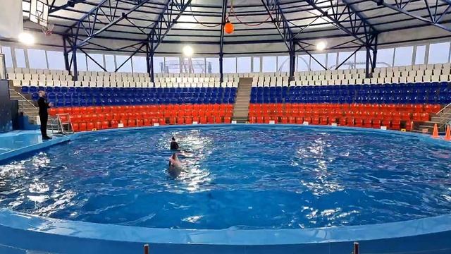 2 февраля 2024 г. смотреть онлайн