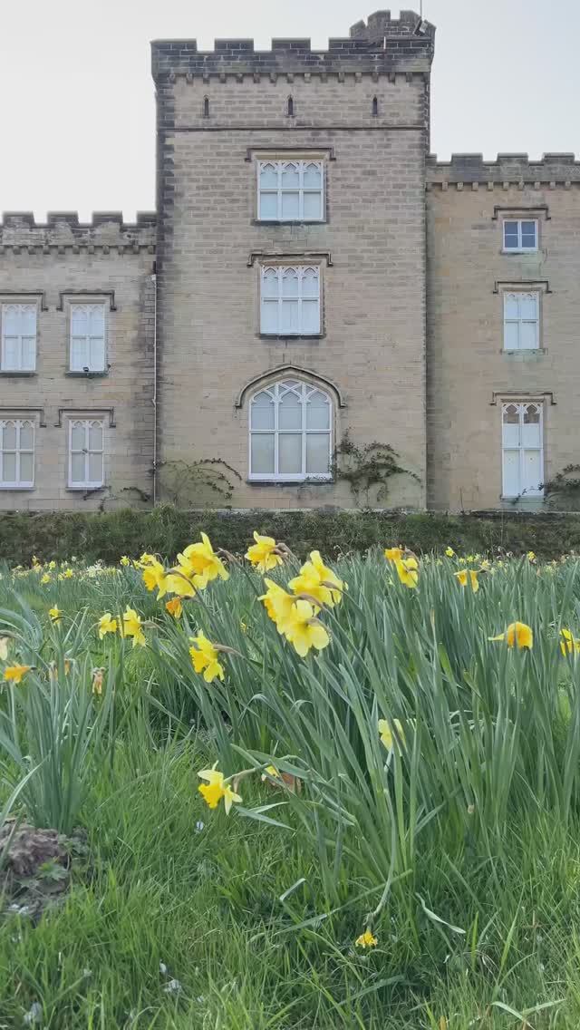 Замок Чиддингстоун #англия#замки#путешествия смотреть онлайн