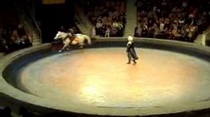 Конный цирк. выступление.