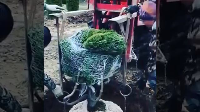 Задние паллетные вилы на минитракторе Kioti CK2810H смотреть онлайн