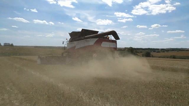 Уборка яровой пшеницы, Claas Tucano 580, Torum 780, Torum 740