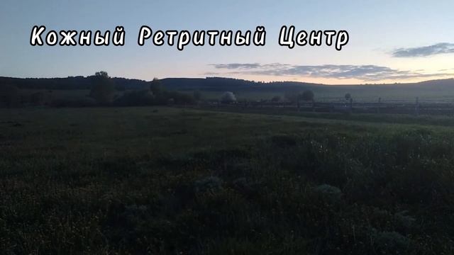 ЭТО ПЕНИЕ СОЛОВЬЯ ПОМОГАЕТ СНЯТЬ ОБОСТРЕНИЕ АРТРИТА ДЕРМАТИТА ПСОРИАЗА ❗ смотреть онлайн