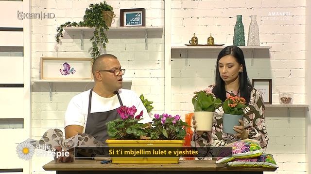 Quhet “lulja e akullit”, por kujdesuni që ta mbani ngrohtë смотреть онлайн