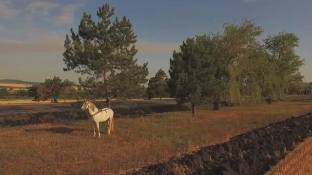 Cîntînd voi răminea, tot lîngă Moldova mea .. смотреть онлайн
