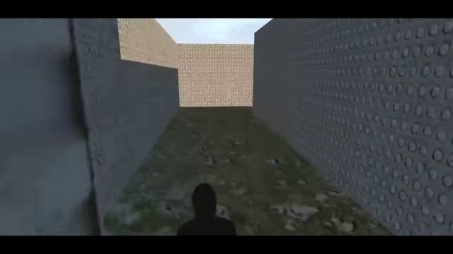 MAZE Hide&Seek LAC Map • Los Angeles Crimes MINIGAME by AlphaGamerX смотреть онлайн