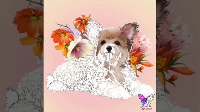 Colouring the beautiful doggy🐕 смотреть онлайн