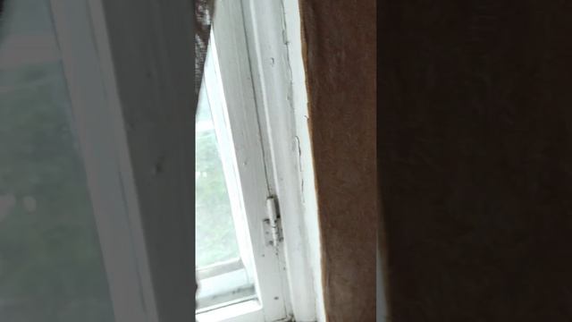 video_20250418_174630 (online-video-cutter.com)