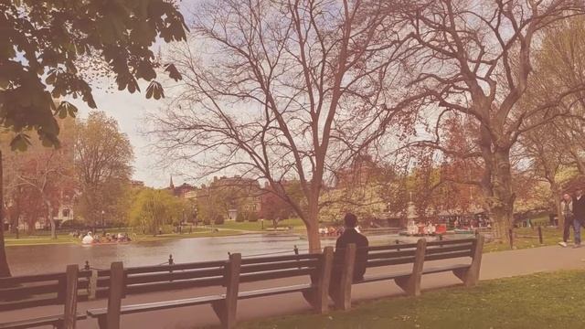 Donna Donna  - Lena Nguyen