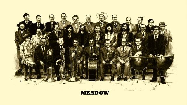 The Soul Jacket - Meadow (Album: Wood Mama) смотреть онлайн