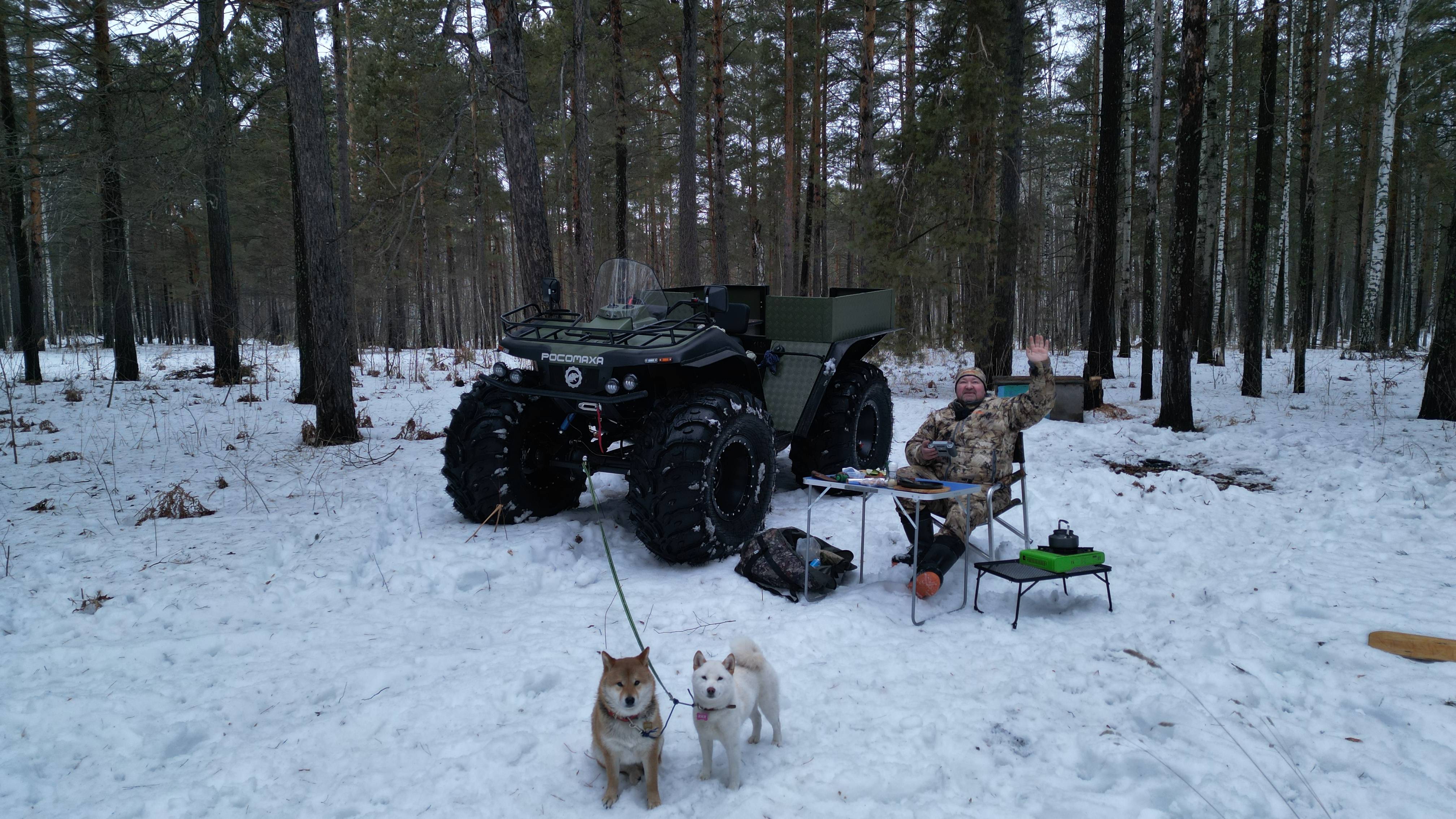 ЗИМНИЙ ОТДЫХ В ЛЕСУ смотреть онлайн