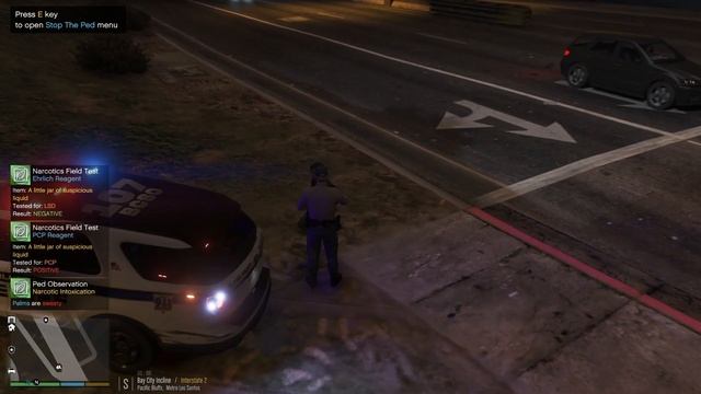 Former IRL Officer plays GTAV as BCSO K9 Deputy | GTAV LSPDFR | BCSO Patrol with K9 partner. смотреть онлайн