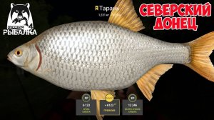 БЕШЕННЫЙ ФАРМ ДЛЯ НОВИЧКА НА ТАРАНЕ НА СЕВЕРСКОМ ДОНЦЕ В РУССКОЙ РЫБАЛКЕ 4 РР4
