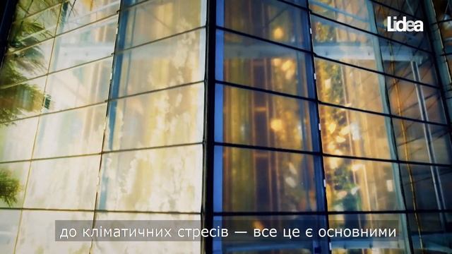 Гібриди ріпаку LIDEA смотреть онлайн