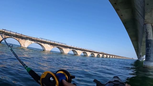 I CAUGHT A BRIDGE MONSTER!!! Florida Keys Fishing смотреть онлайн