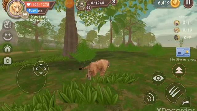 Тигр 100 лвл в WildCraft!