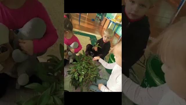 Лучшие моменты в кадре!!! Мини -центр "Солнышко" смотреть онлайн