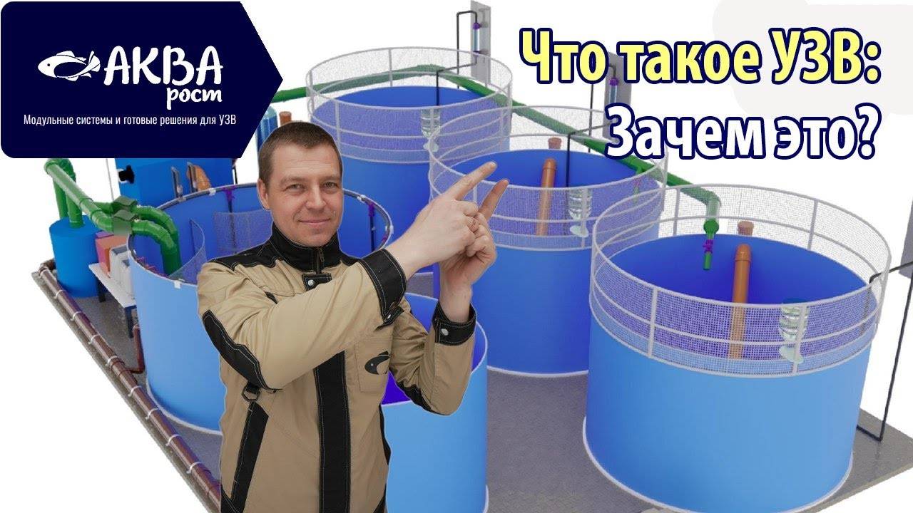 Что такое УЗВ #система #узв #рыба #акварост