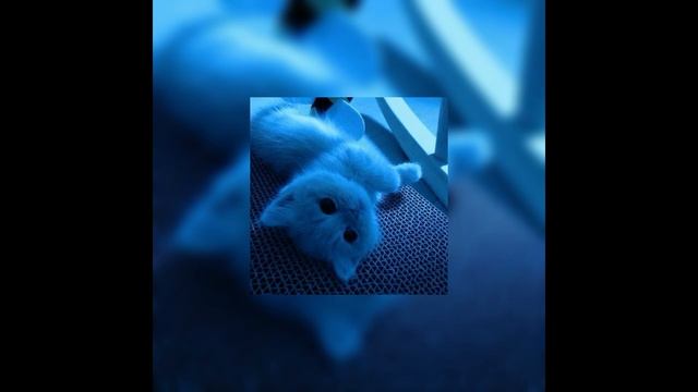 Дети немой страны |speedup|