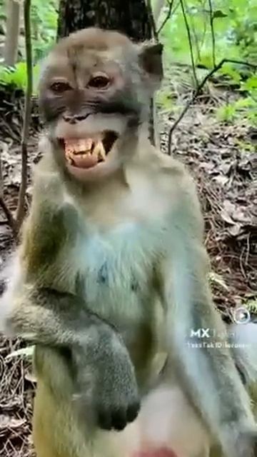 July 25, 2022 смотреть онлайн