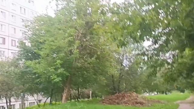 Харьков Салтовка 10 августа 2023 года Добрый Вечер!!! смотреть онлайн