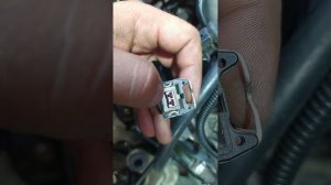 Вентиляторы охлаждения Chery Fora / Vortex Estina. Разъём управления вентиляторами охлаждения.