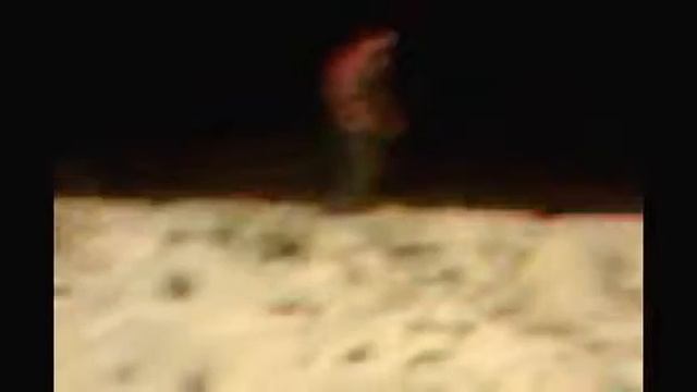 где купил права