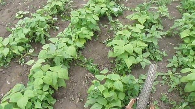 Велокультиватор смотреть онлайн