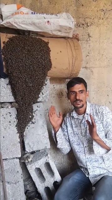 Ye Dekh kar Heraan reh Jao Gai 😱😱 #shorts #honeybees #beekeeping #viralshorts #viralvideo смотреть онлайн