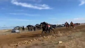 Бега Рысаков и иноходцев.