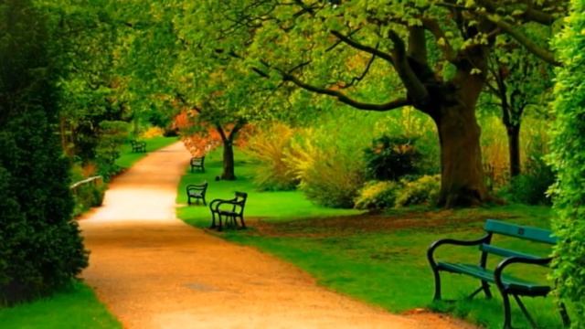 Осенних красок хоровод смотреть онлайн