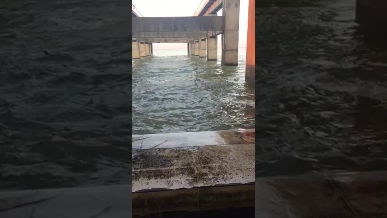 Краснодарское водохранилище переполняется...