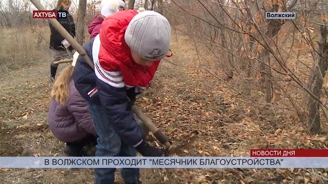 В Волжском активисты сажают деревья и убирают мусор. смотреть онлайн