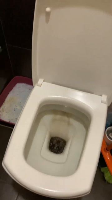 В унитазе у меня Coca-Cola смотреть онлайн