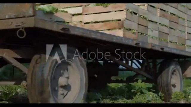 Как зарегистрировать самодельный прицеп смотреть онлайн