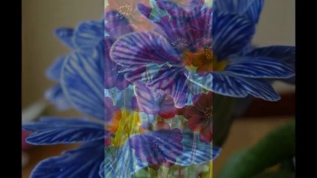 CARLOS GUILHERME SOLAMENTE UNA VEZ смотреть онлайн