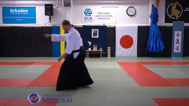 2 Akido Philosophy & Ai Hanmi Ikkyo Omote Upper Front Position, Shishiya Sensei Sundsvall 2023