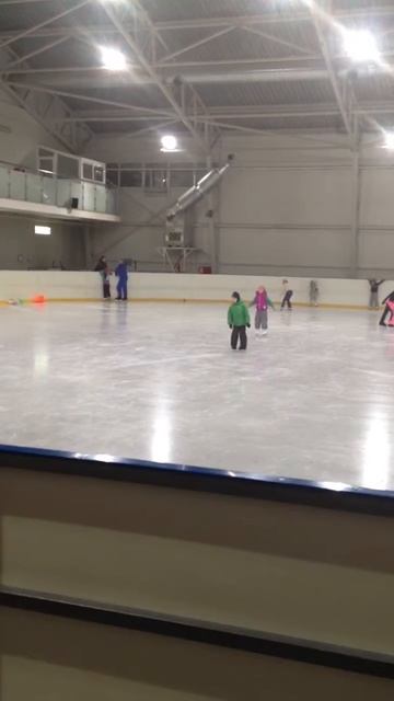 Новые коньки