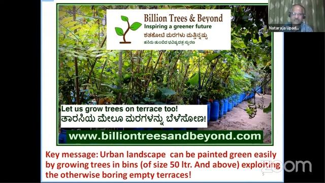 Edible Greens in Urban foodscapes / Billion Trees and beyond genesis and progress смотреть онлайн