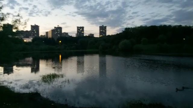 Соловьиные трели