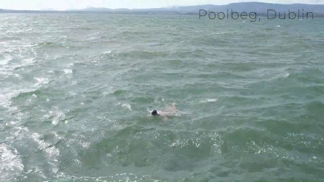 Spring Swims in the Irish Sea смотреть онлайн