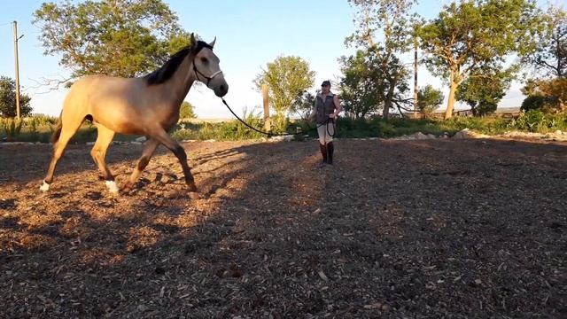 Лео Марино корда 23.05.20 смотреть онлайн