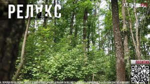 ASMR.АСМР.Релакс.020.Лето в лесу.Эмбиент.