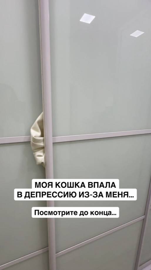 Моя кошка впала в депрессию